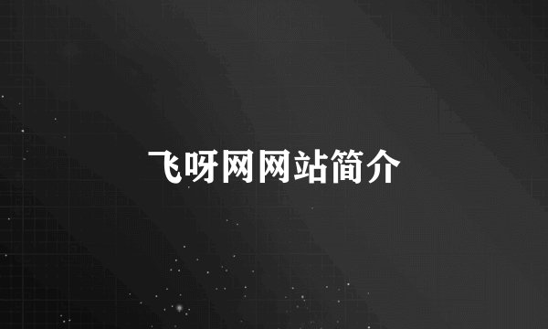 飞呀网网站简介