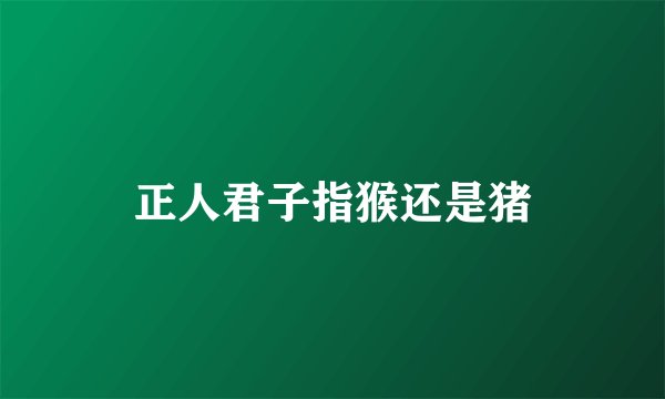 正人君子指猴还是猪