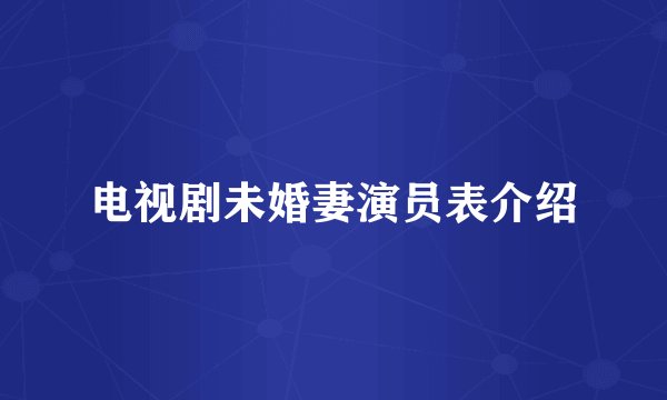 电视剧未婚妻演员表介绍