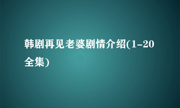 韩剧再见老婆剧情介绍(1-20全集)