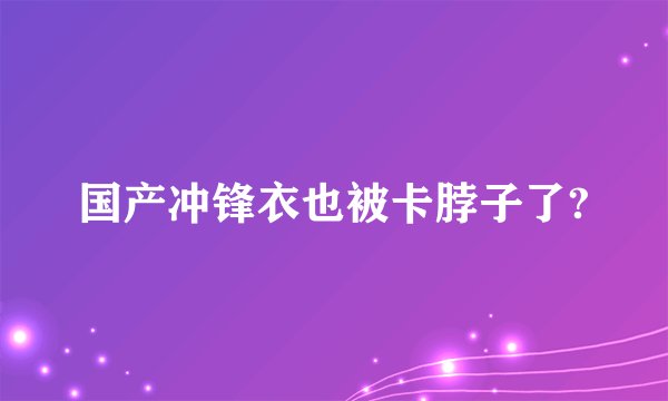 国产冲锋衣也被卡脖子了?