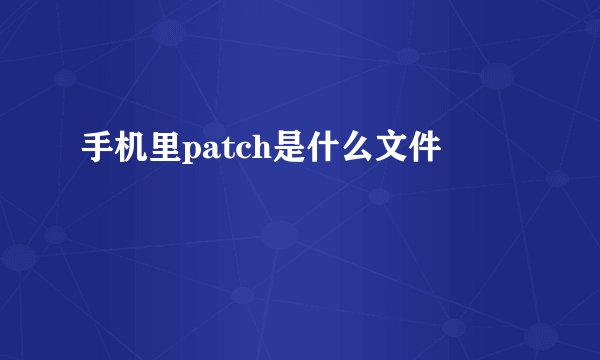 手机里patch是什么文件