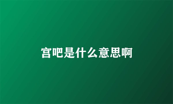 宫吧是什么意思啊
