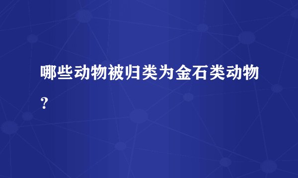 哪些动物被归类为金石类动物？