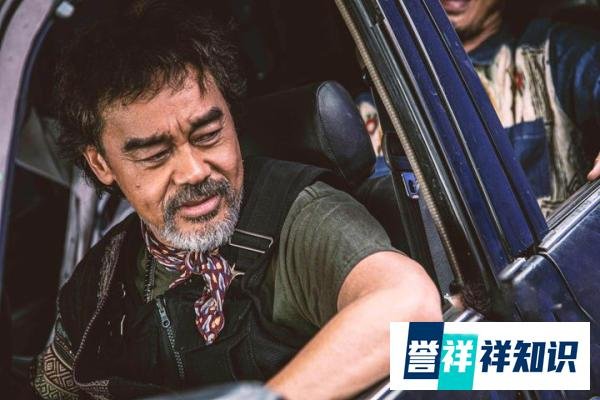 港片已“死”?先“死”编剧!《扫毒3:人在天涯》太垃圾了!
