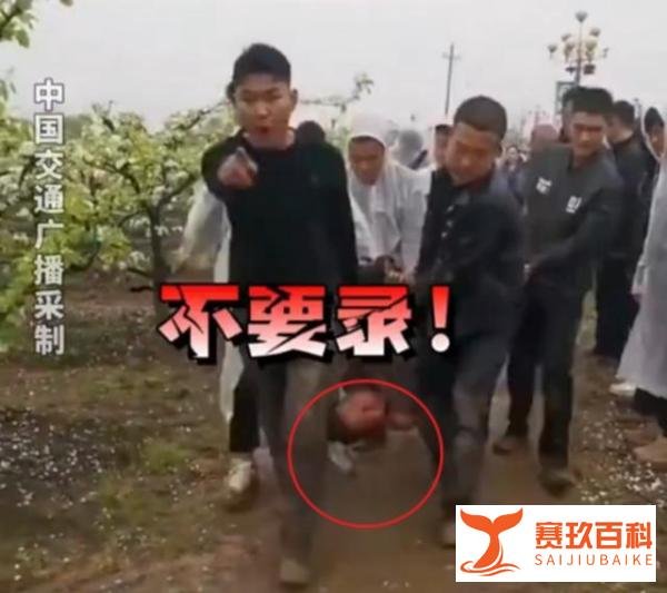 叶县强拆果园副县长火了：15岁进区人大工作，能力堪比神童还牛