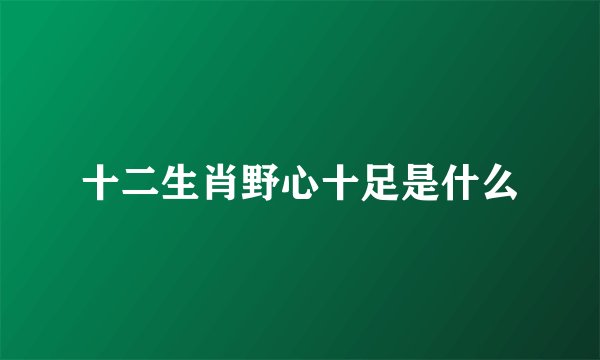 十二生肖野心十足是什么