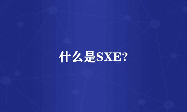 什么是SXE?