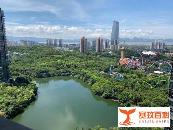 深圳富婆扎堆的地方:财富与生活方式的缩影