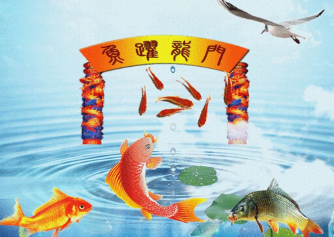 小鲤鱼跳龙门适合的名人名言是什么？