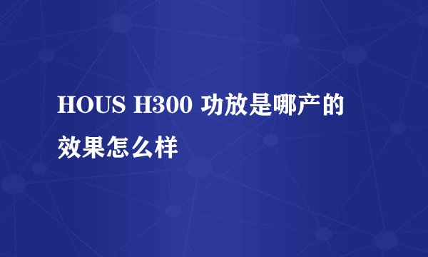 HOUS H300 功放是哪产的 效果怎么样