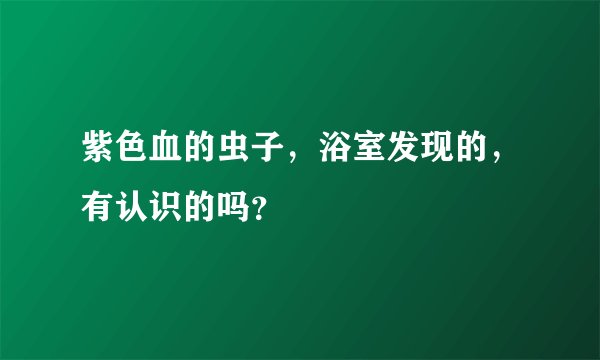 紫色血的虫子，浴室发现的，有认识的吗？