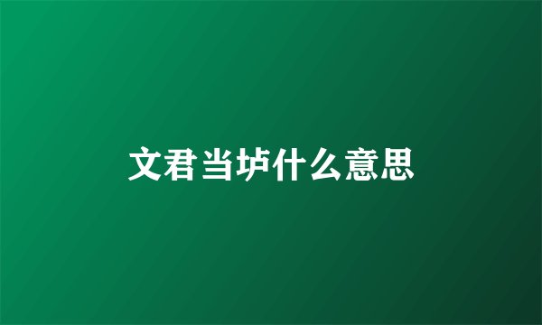 文君当垆什么意思