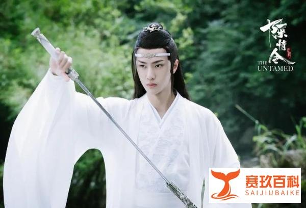 《陈情令》《魔道祖师》：没有蓝湛金丹，为什么魏婴能拔出避尘？