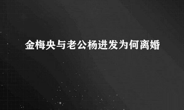 金梅央与老公杨进发为何离婚