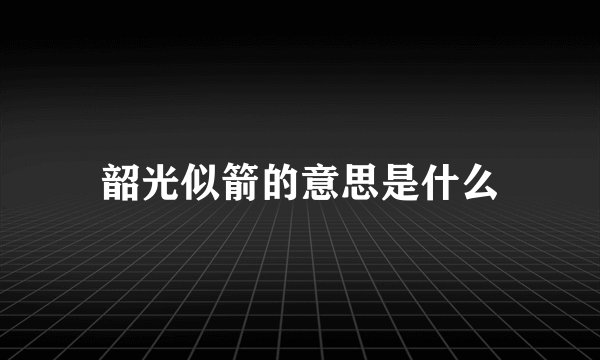 韶光似箭的意思是什么