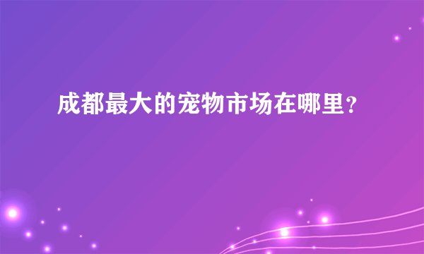 成都最大的宠物市场在哪里？