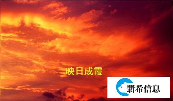 矩阵式管理