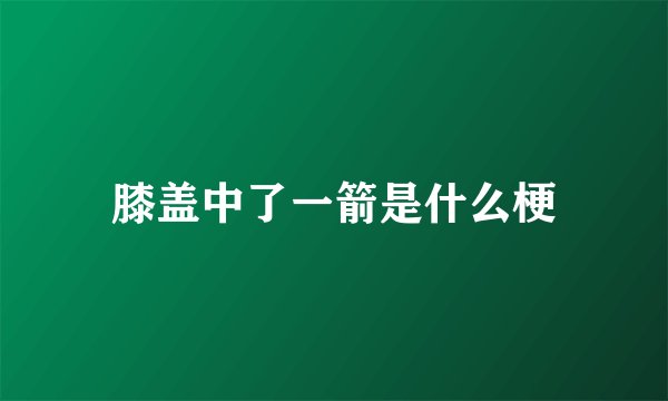 膝盖中了一箭是什么梗