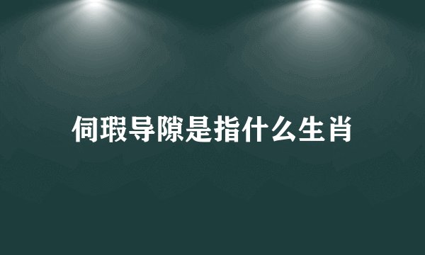伺瑕导隙是指什么生肖