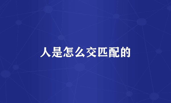 人是怎么交匹配的