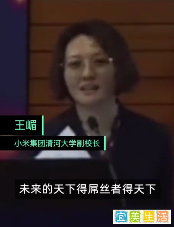 严重影响品牌形象!小米王嵋对“得屌丝者得天下”言论致歉并请辞