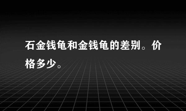 石金钱龟和金钱龟的差别。价格多少。