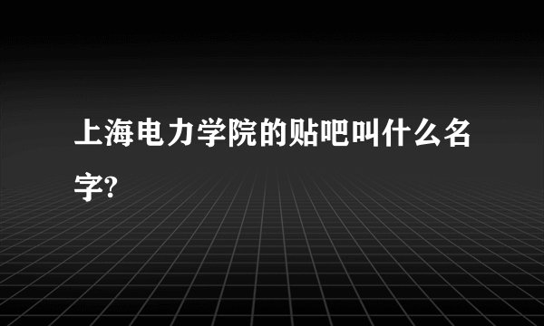 上海电力学院的贴吧叫什么名字?