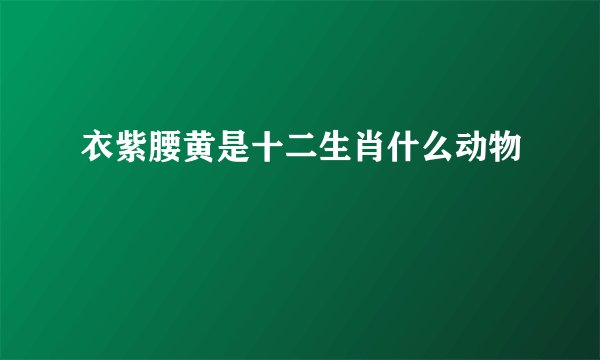 衣紫腰黄是十二生肖什么动物