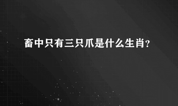 畜中只有三只爪是什么生肖？