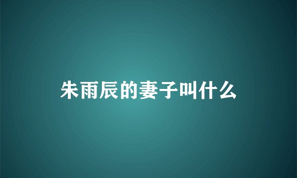 朱雨辰的妻子叫什么
