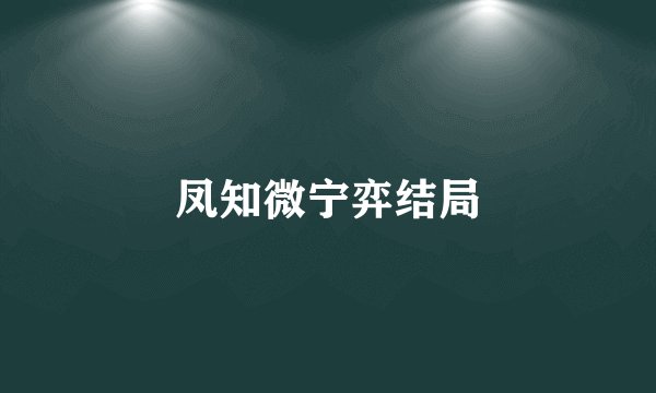 凤知微宁弈结局
