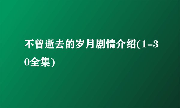 不曾逝去的岁月剧情介绍(1-30全集)