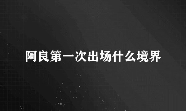 阿良第一次出场什么境界