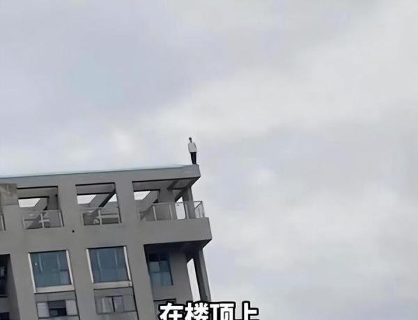 法律不会放过怂恿跳楼者,罗翔诉说的案例,并不是法外之地
