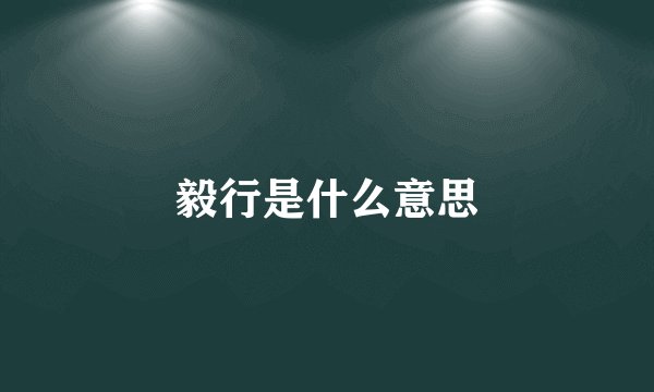 毅行是什么意思