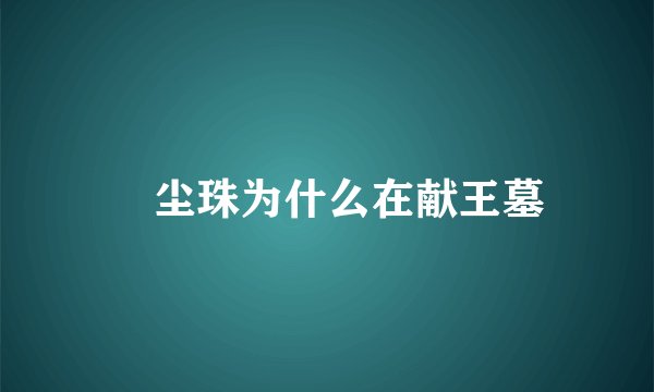 雮尘珠为什么在献王墓