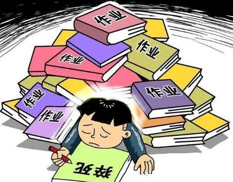 作业害死了多少人