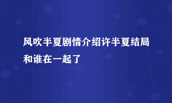 风吹半夏剧情介绍许半夏结局和谁在一起了