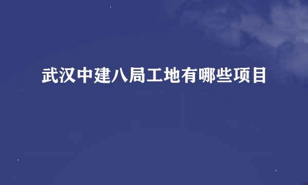 武汉中建八局工地有哪些项目