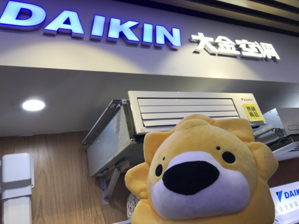 空调只需要制冷哪个牌子好