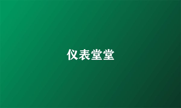 仪表堂堂