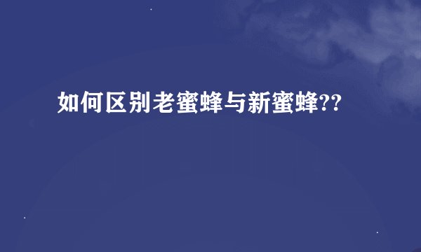 如何区别老蜜蜂与新蜜蜂??