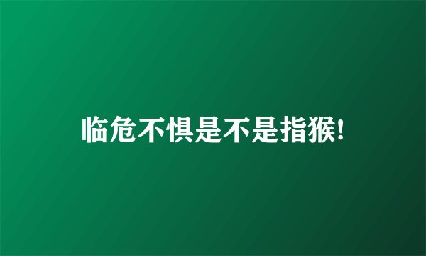 临危不惧是不是指猴!