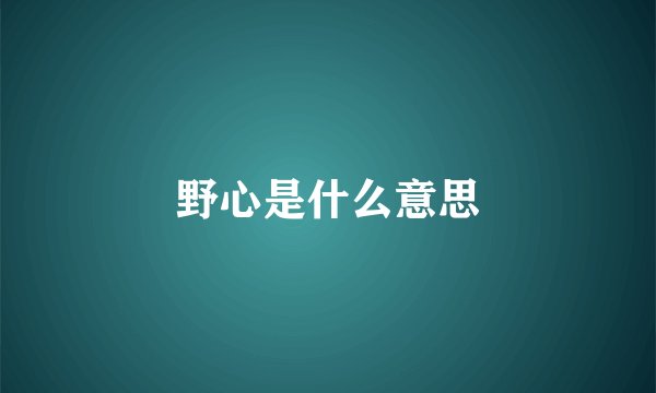 野心是什么意思