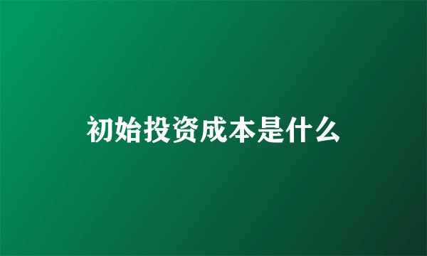 初始投资成本是什么