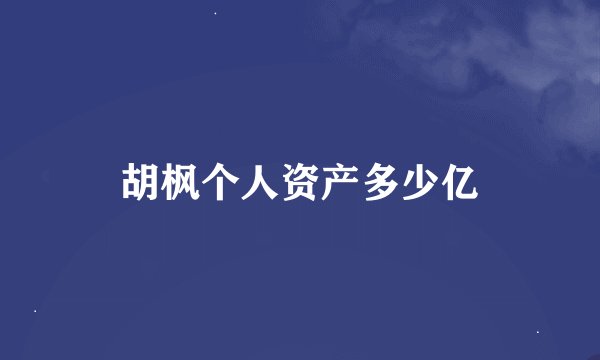 胡枫个人资产多少亿