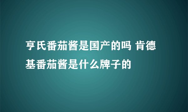 亨氏番茄酱是国产的吗 肯德基番茄酱是什么牌子的