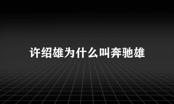 许绍雄为什么叫奔驰雄