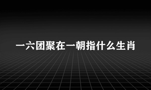 一六团聚在一朝指什么生肖